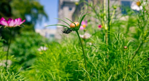 Housing Resource Centre